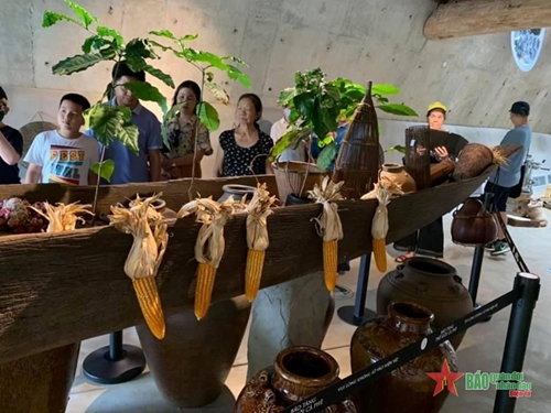 Việt Nam đa sắc: Điểm đến lý tưởng tìm hiểu văn hóa cà phê tại Đắk Lắk